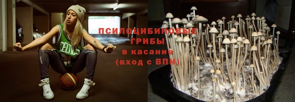 дурь Осташков