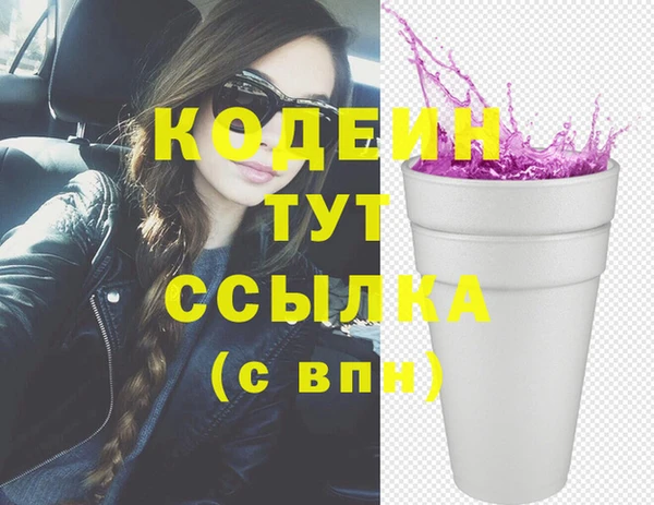 дживик Билибино