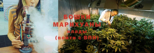 дурь Осташков